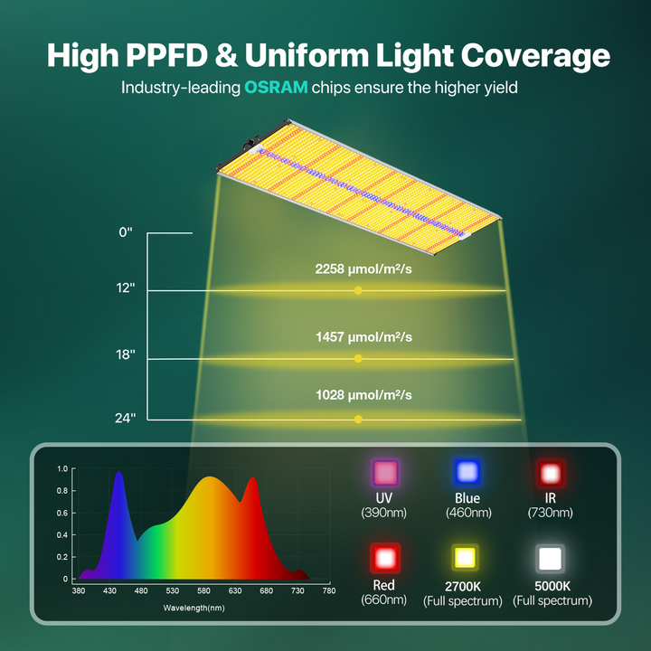 2024 New Sayhon Full Spectrum OSRAM Chips Grow Lights For 5X5ft Tent SH4000