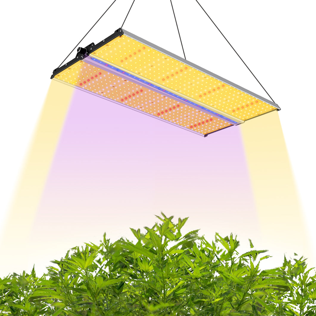 Sayhon Led Indoor Grow Lights Full Spectrum Dimming For 4X4ft Tent only available in canada