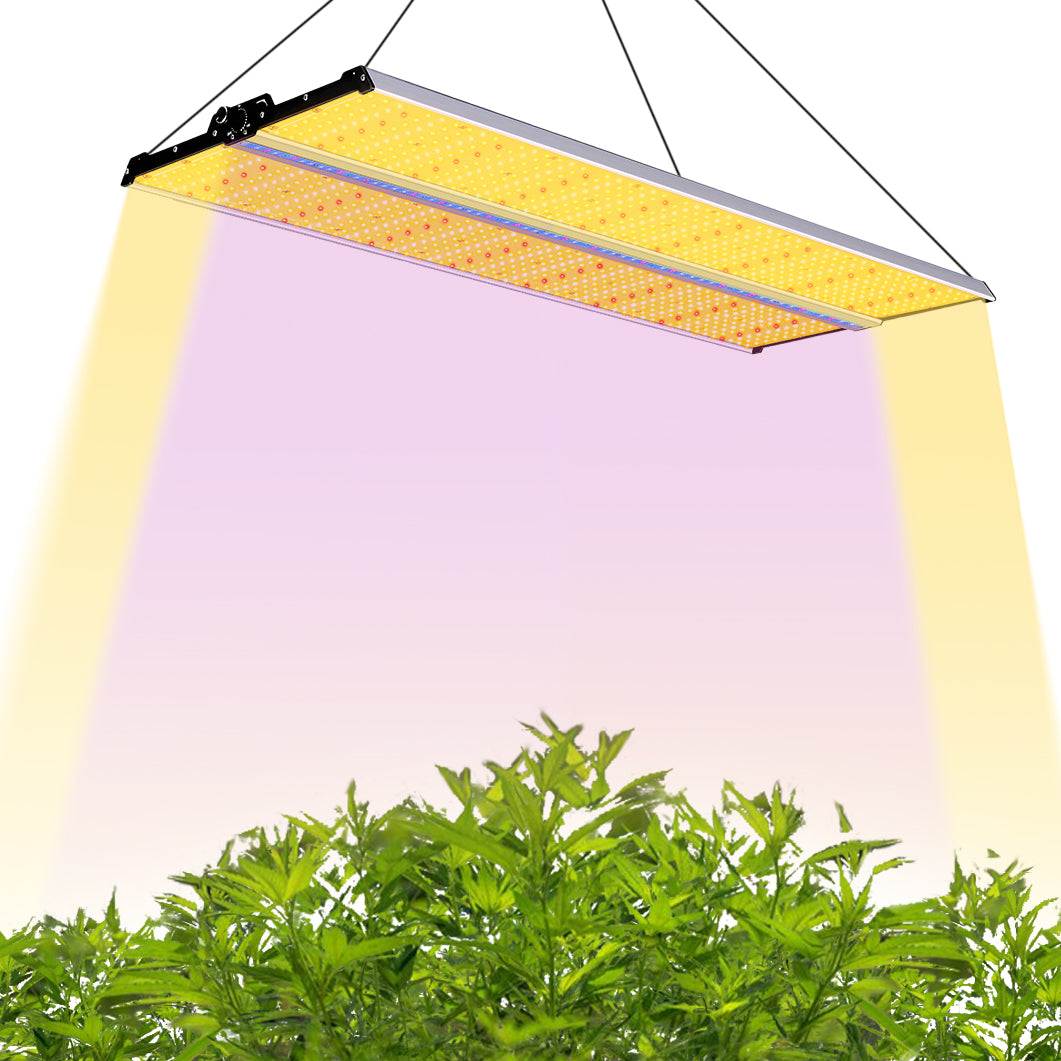 Sayhon SH4000 Full Spectrum Grow Lights Indoor Grow Lights Only available in canada